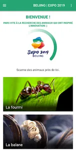 France - Beijing Expo 2019 screenshot 7