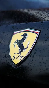 Ferrari Car Wallpapers screenshot 11