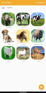 Pashu Mela screenshot 1