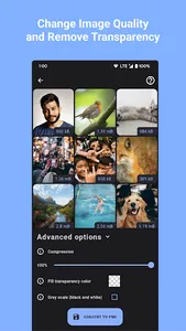 Convert Images to PNG screenshot 2