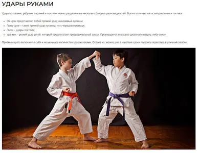 Техника каратэ screenshot 1