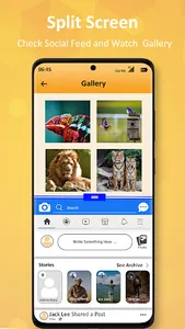 Split Screen - Dual Window for screenshot 7