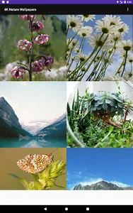 4K Nature Wallpapers screenshot 6
