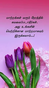 Rajapalayam FM screenshot 0