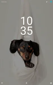 Xperia Theme - Dogs screenshot 3
