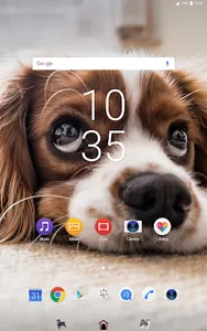 Xperia Theme - Dogs screenshot 4