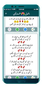 Urdu & Punjabi Poetry-Shayari screenshot 6