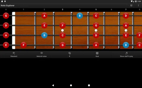 Bass Guitar Note Trainer screenshot 16