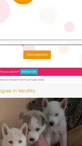 Puppy's - Annunci di Animali screenshot 3
