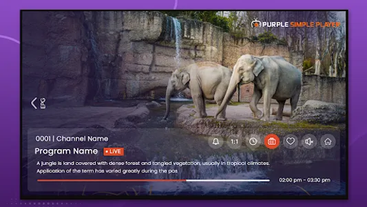 Purple Simple - IPTV Player screenshot 19