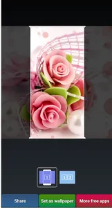 Beautiful Roses HD Wallpapers screenshot 5