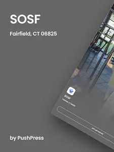 SOSF screenshot 5