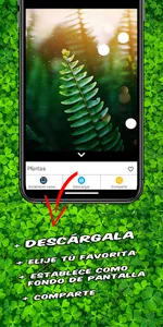 Green background screenshot 2