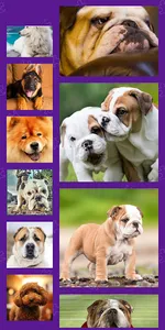 Dogs Photo Puzzle Game screenshot 0