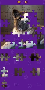 Dogs Photo Puzzle Game screenshot 2