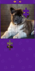 Dogs Photo Puzzle Game screenshot 3