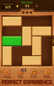 Unblock Puzzle screenshot 14