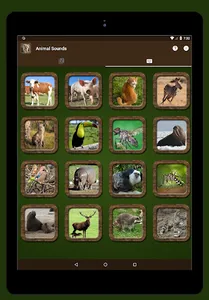 Animal Sounds screenshot 5