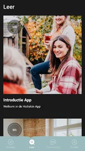 Holiskin screenshot 1
