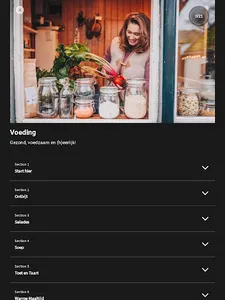 Holiskin screenshot 7