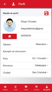 FirePymes E-commerce screenshot 2