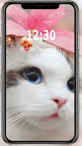 Cats Wallpapers screenshot 0