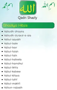 qadrishazly screenshot 1