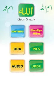 qadrishazly screenshot 2