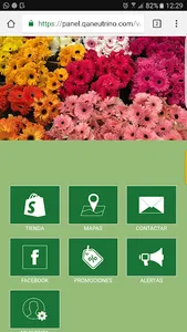 Tienda online de flores al may screenshot 2