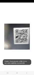 QR FLASH screenshot 1