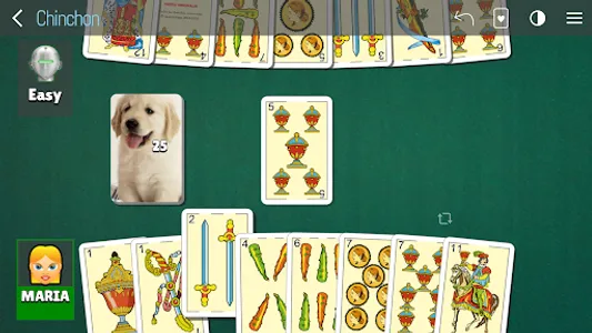 Chinchon - Spanish card game screenshot 12