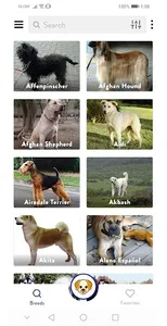 Dogs Pedia – Dog Breeds Identi screenshot 0