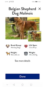 Dogs Pedia – Dog Breeds Identi screenshot 5