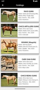 Imporhorse screenshot 2