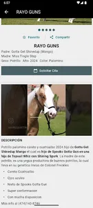 Imporhorse screenshot 3