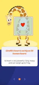 Quizlie screenshot 3