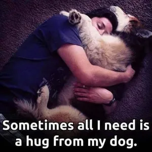 Animal Lover Quotes - Dog Love screenshot 9