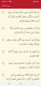 القرآن الكريم خفيف و بسيط screenshot 2