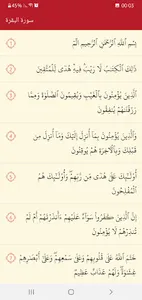 القرآن الكريم خفيف و بسيط screenshot 4