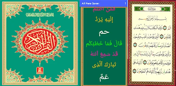 Quran_Telawat screenshot 6