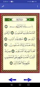 Quran_Telawat screenshot 8