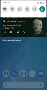 Quran Abdelbaset Abdessamad Ho screenshot 9