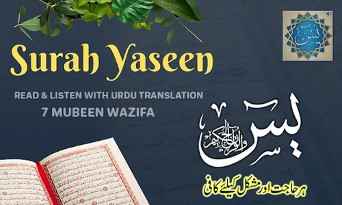 Surah Yaseen-Quran Recitation screenshot 0