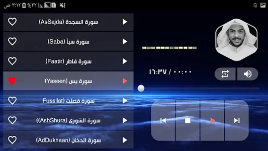 Islam Sobhi MP3 Quran Offline screenshot 11