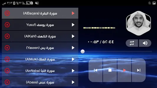 Islam Sobhi MP3 Quran Offline screenshot 19