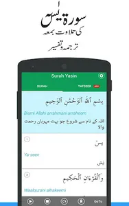 Surah Yasin Urdu Translation screenshot 0