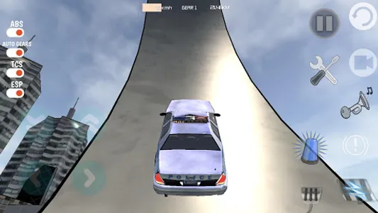 My Police Car Driving Simulato screenshot 2