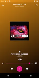 Radio Lobo FM screenshot 4