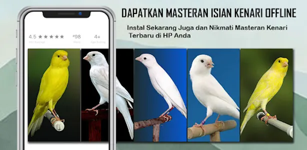 Masteran Kenari Isian Offline screenshot 0