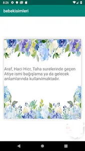Bebek isimleri screenshot 1